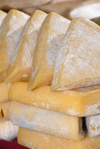 cheese2