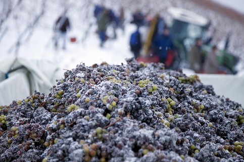 eiswein