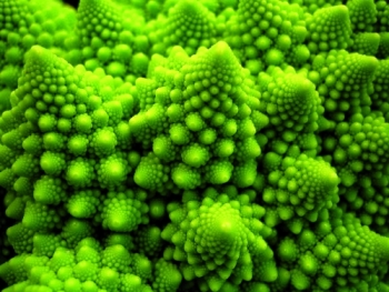 Cavolfiore Romanesco
