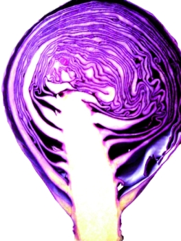 Cappuccio viola