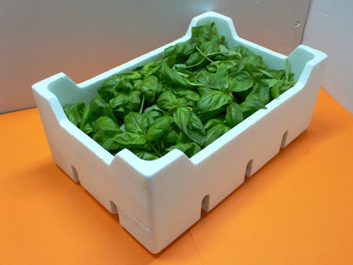 Basilico - Azienda Agricola Quaggio Luciano