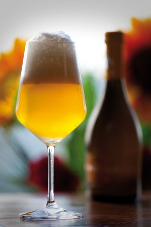Alogastronomia (birra artigianale)