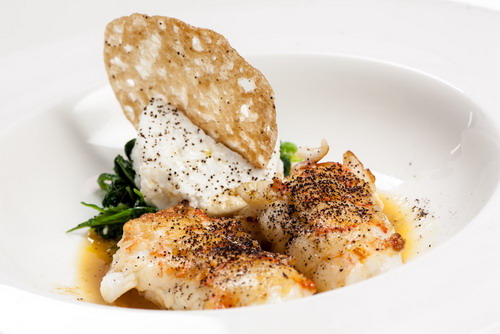 Ricetta flan di Alfredo Chiocchetti (ricette scampi - ricette caffè) 1